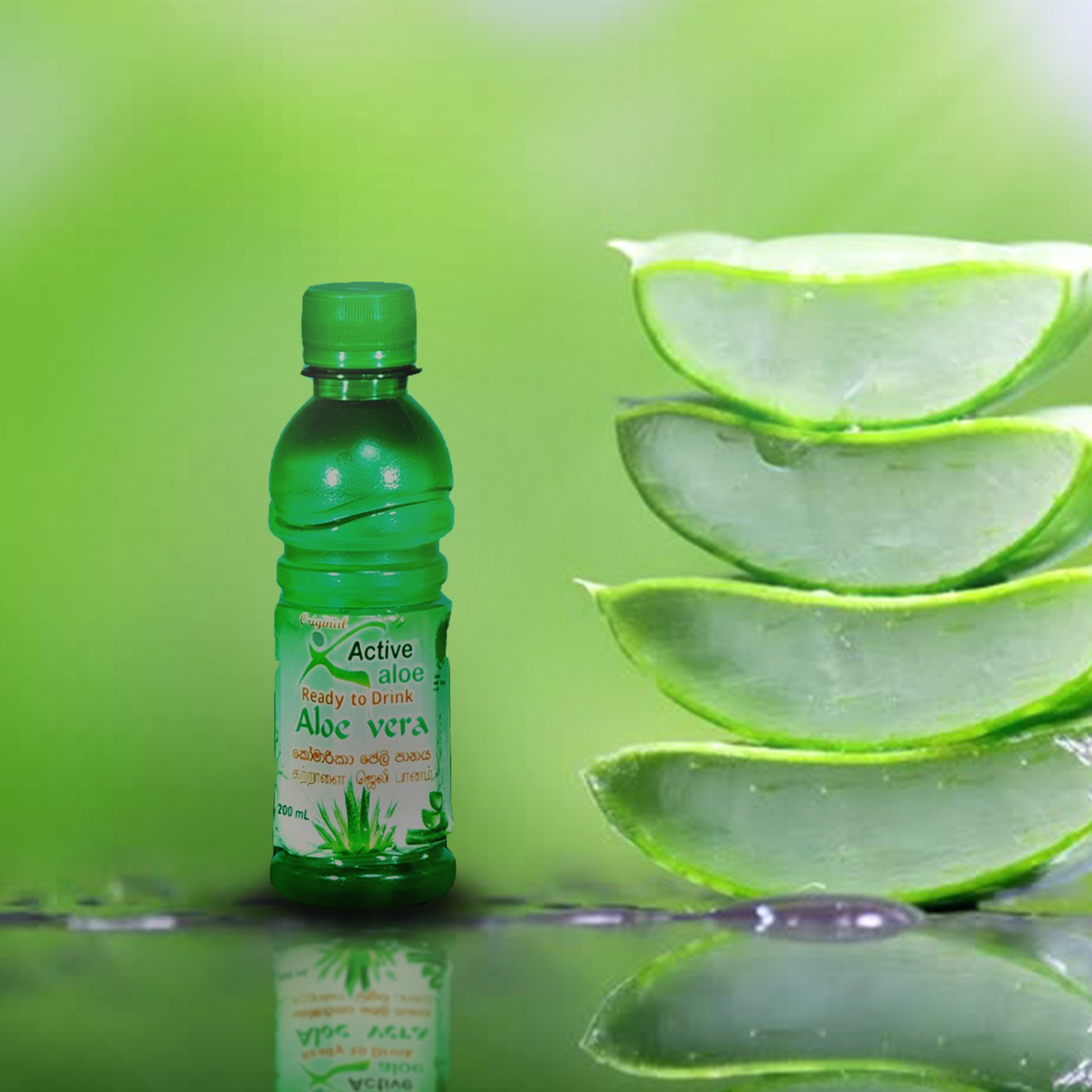 aloe vera