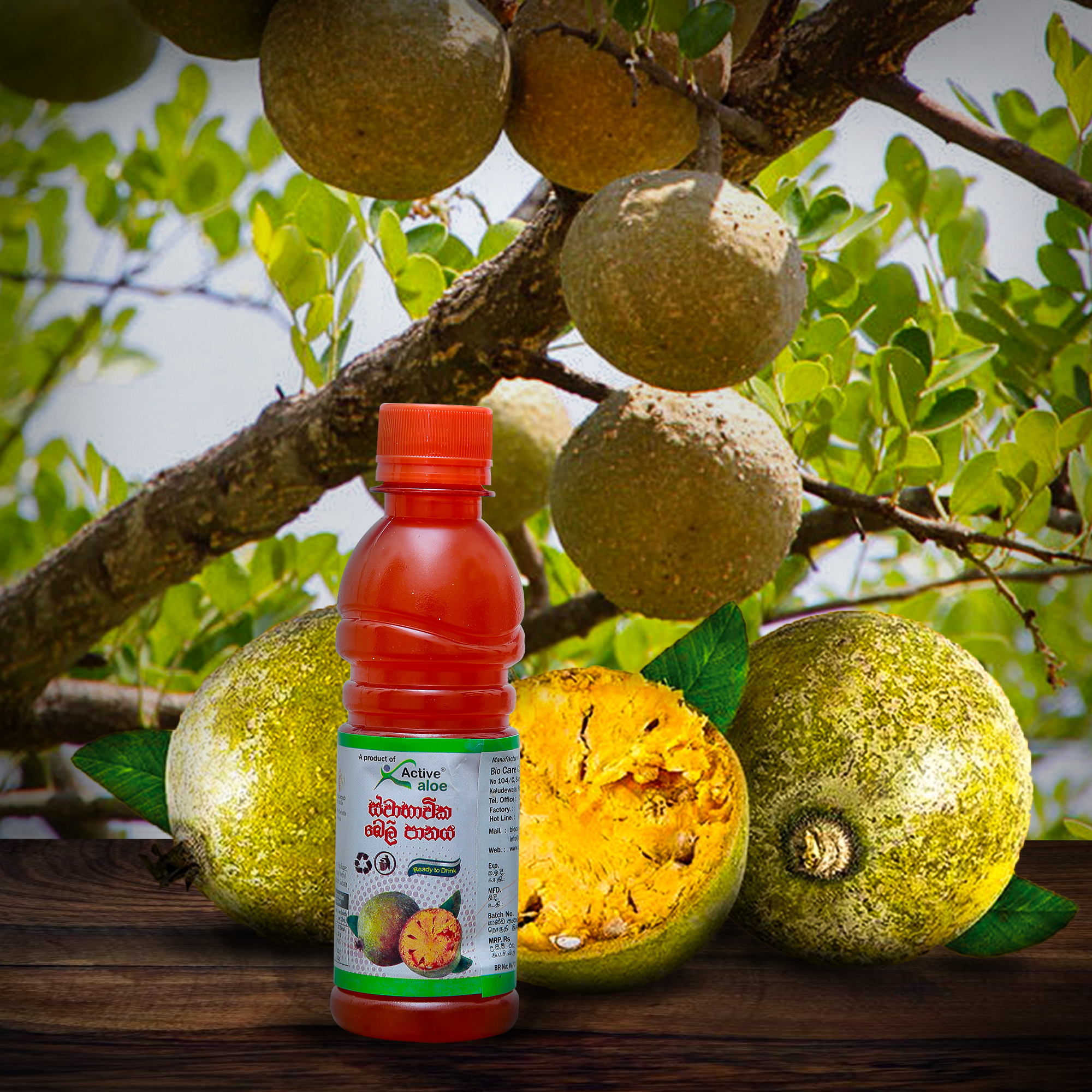 Bael Fruit